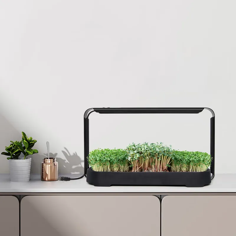 Self-Watering Planter - System hydroponiczny do samodzielnego nawadniania mikrolistków