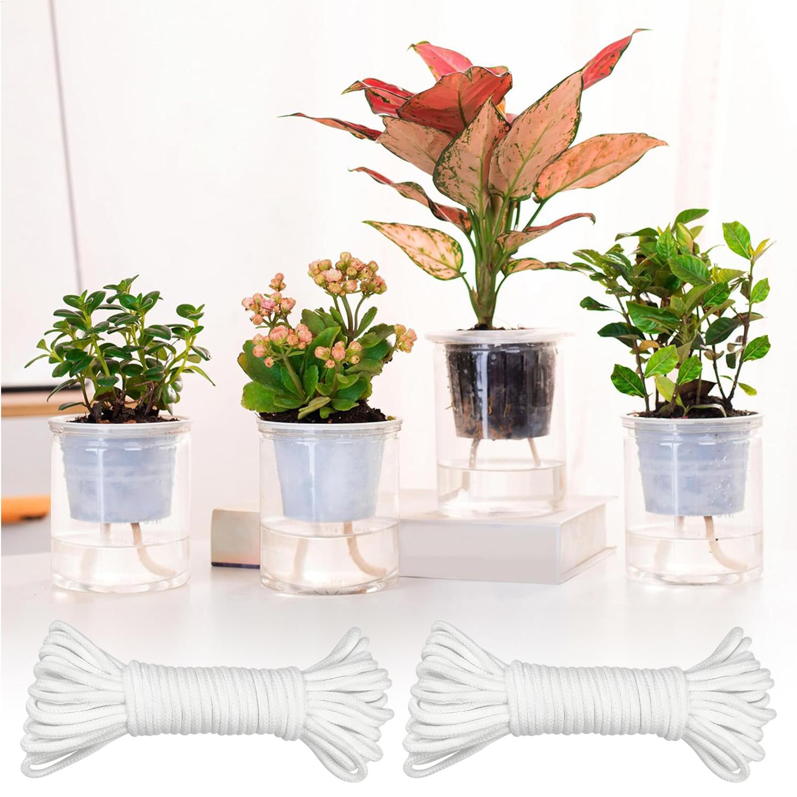 Wkłady do roślin do samodzieln – Self-Watering Planter recenzja i cena