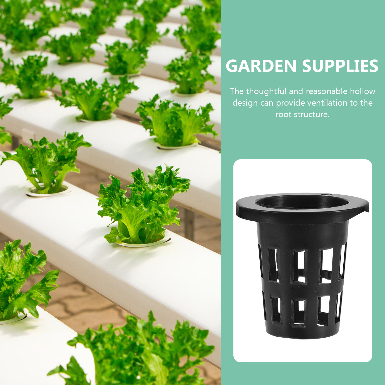 50 sztuk plastikowych koszyków – Gardening Tools Vegetables recenzja i cena