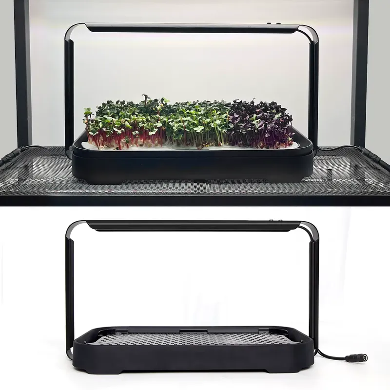 System hydroponiczny do samodz – Self-Watering Planter recenzja i cena
