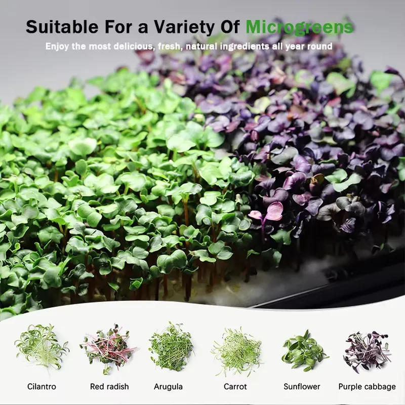 System hydroponiczny do samodz – Self-Watering Planter recenzja i cena