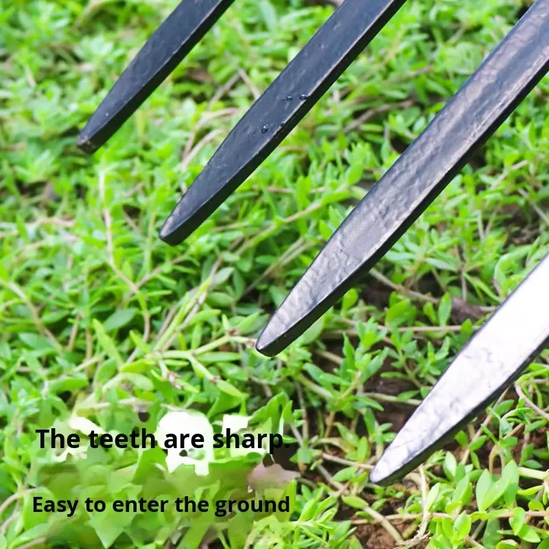 Czterozębny stalowy żelazny wi – Spade Digging Fork recenzja i cena