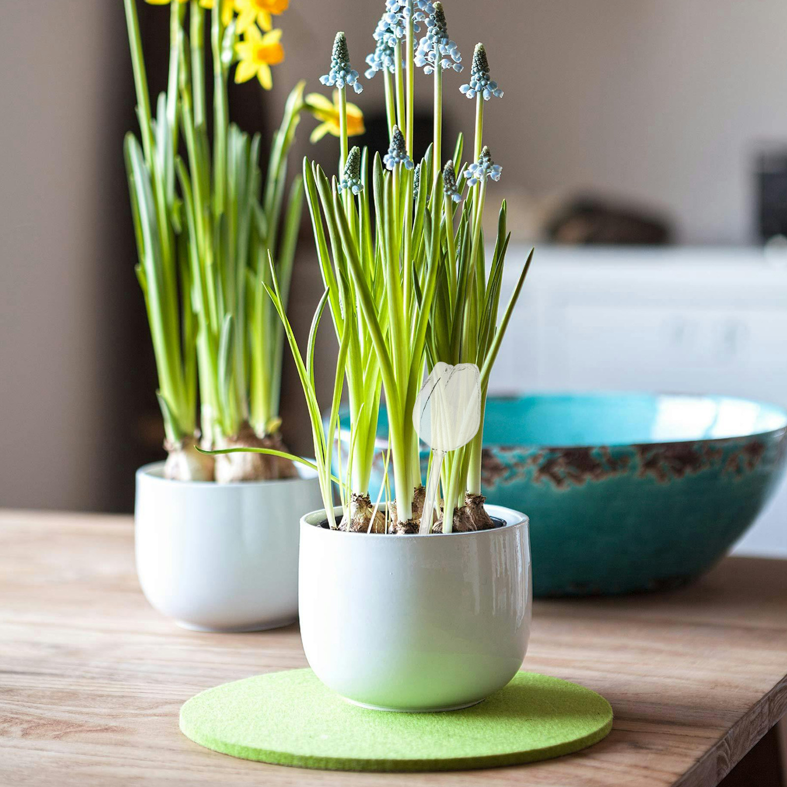 2 sztuki wysokiej jakości, wyk – Self-Watering Planter recenzja i cena