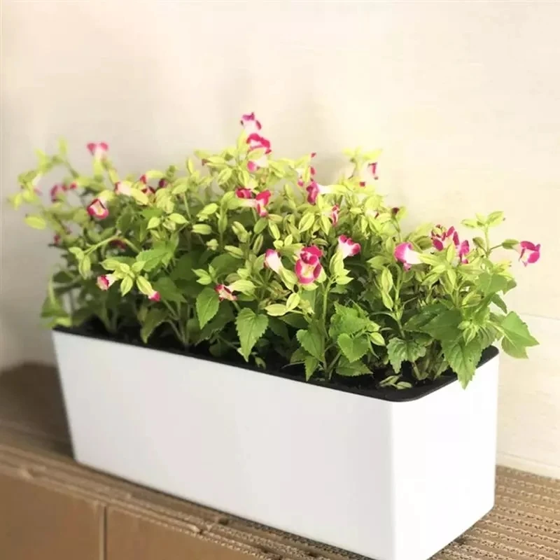 Prostokątna leniwa doniczka hy – Automatic Plant Waterer recenzja i cena