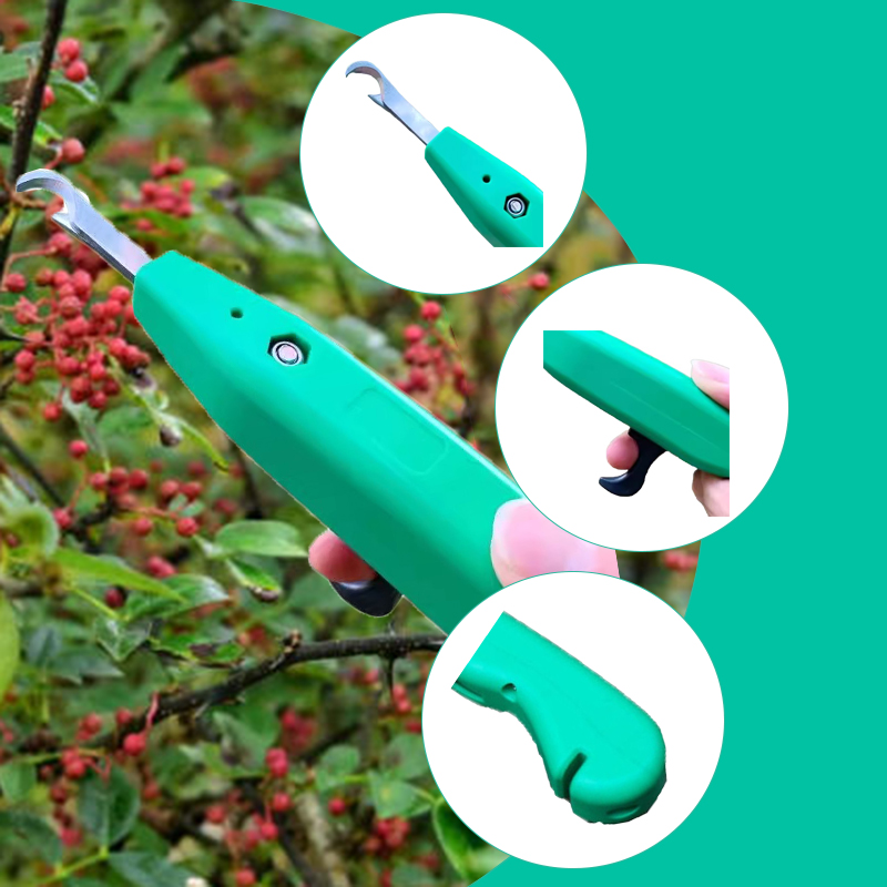 Profesjonalne nożyczki do zbio – Gardening Tools Vegetables recenzja i cena