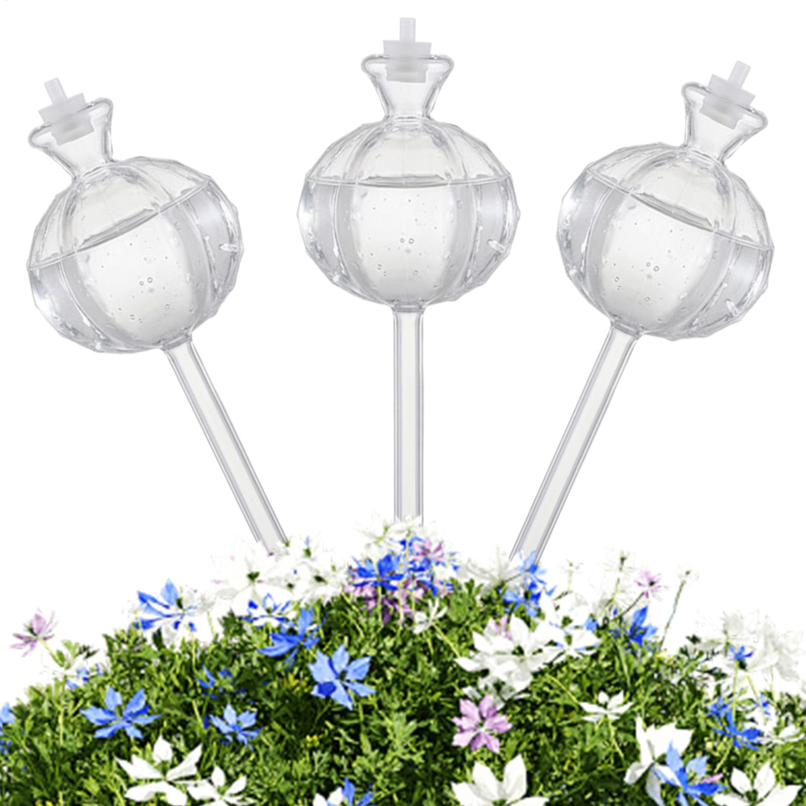 Kule do podlewania roślin, wbi – Automatic Plant Waterer recenzja i cena